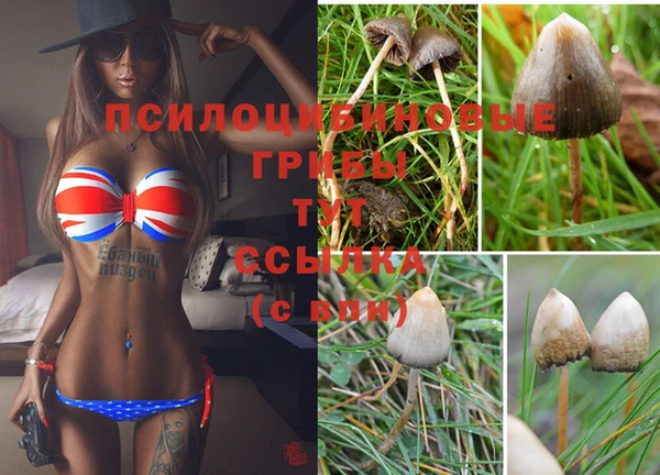 гидропоника Волосово
