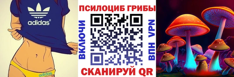 Псилоцибиновые грибы Cubensis Лыткарино