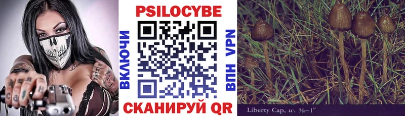 Псилоцибиновые грибы прущие грибы  Лыткарино 